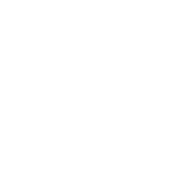 Strategy