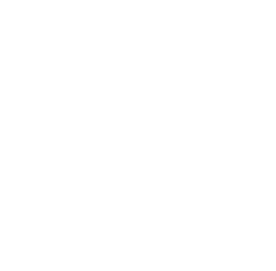 Digital